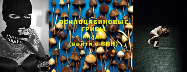 СК Осинники