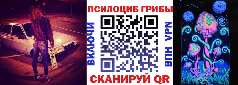 где продают   Пестово  Галлюциногенные грибы Magic Shrooms 