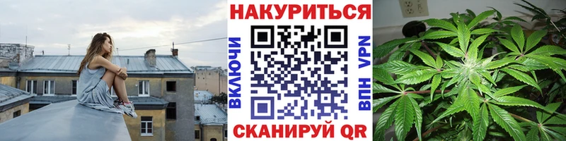 мориарти телеграм  hydra ссылки  Пестово  Бошки марихуана семена 